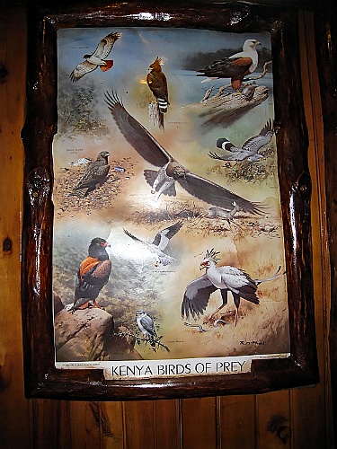 Kenia (442)